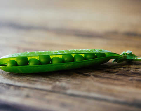 Product greanbean