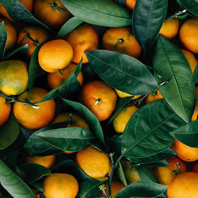 Product oranges