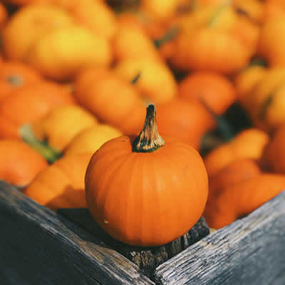 Product pumpkin