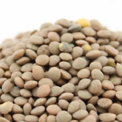 Product whitebean