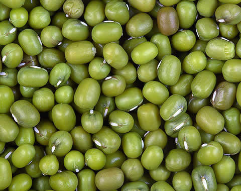 Product greanbean