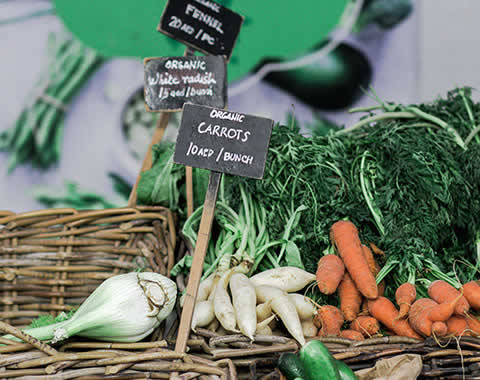 Product daikon
